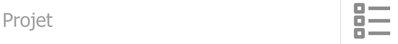 5. Projets